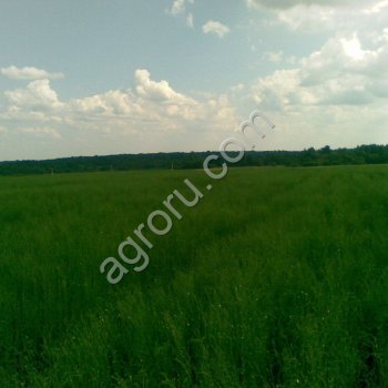 Земельный участок 2960 Га