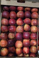 Яблоко Ред Джонапринц