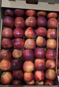 Яблоко Ред Джонапринц