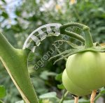 Кистедержатель для томатов/огурцов улитка, 6 мм, (200шт./упак)