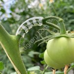 Кистедержатель для томатов/огурцов улитка, 6 мм, (200шт./упак)