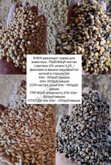 Зерно фураж