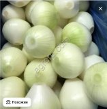 Лук очищенный