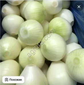 Лук очищенный