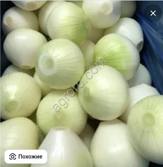 Лук очищенный