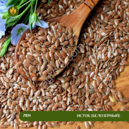 Семена льна Исток (белозерный)