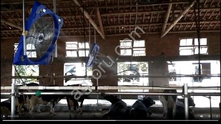 Система искусственного тумана