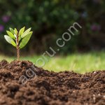 Земля в мешках. Грунт плодородный