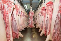 мясо свиньи