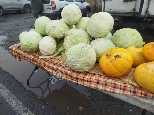 капусты