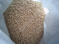 Фасоль сахарная