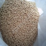 Фасоль сахарная