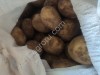 Картофель