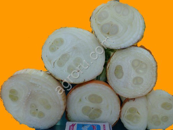 Египетский лук на перо