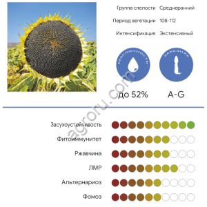 гибрид Алмаз (OR7)
