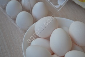 Яйцо куриное столовое пищевое
