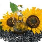 Подсолнечник масличный