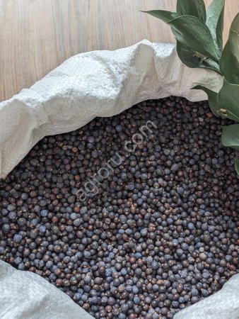 Ягода можжевельника