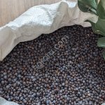 Ягода можжевельника