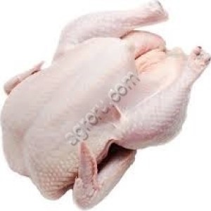 мясо индейки