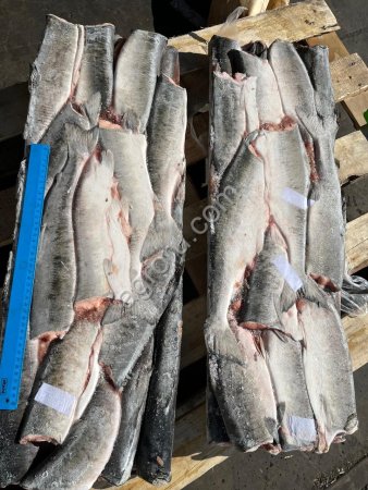 Горбуша ПБГ