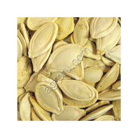 Тыквенную семечку неочищенную масличную, без пленки, для собственного производства, от 3 до 5 тонн