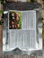 Экстракт гриба Агарик Бразильский (Agaricus Blazei)а
