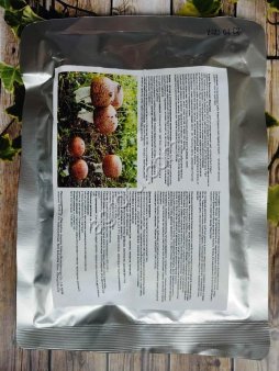 Экстракт гриба Агарик Бразильский (Agaricus Blazei)а