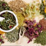 Лекарственные травы