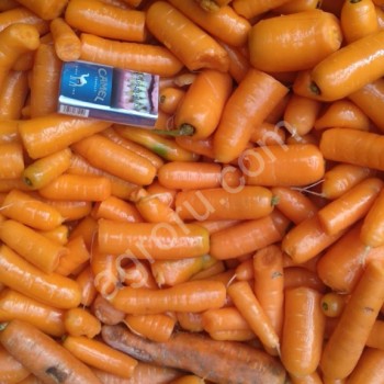 морковь нестандартная