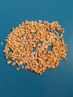 Зародыш кукурузный