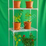 Мини-теплица SEZAM XL для квартиры, балкона, террасы