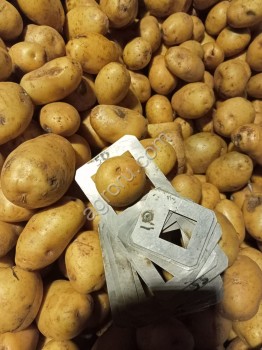 Картофель на переработку