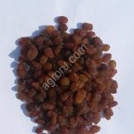 Виноград сушеный кишмиш (бедона), высший сорт