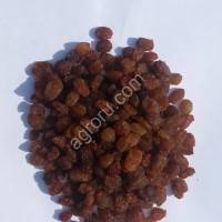 Виноград сушеный кишмиш (бедона), высший сорт