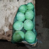 капуста оптом