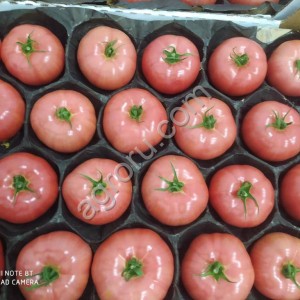 Розовый томат