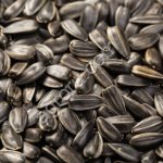 Подсолнечник