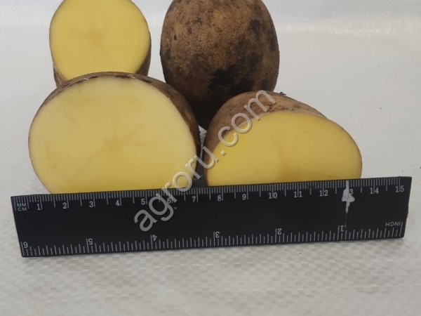 Картофель отборный