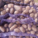 Картофель оптом