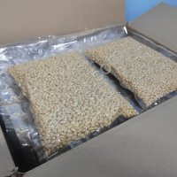 Ядро кедрового ореха