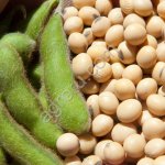 Семена сои Славия