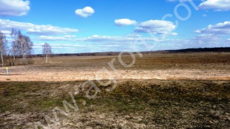 действующее сельхозпредприятие.