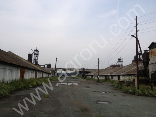 Элеватор (ХПП)