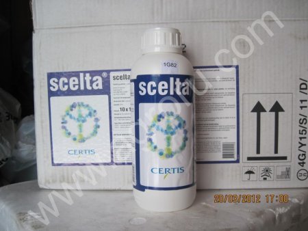 Scelta Скельта