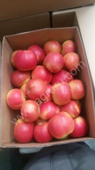 Яблоко оптом