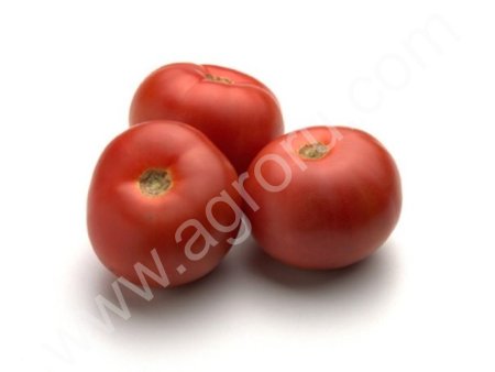 Томаты оптом