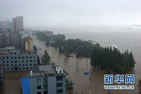 Россия доставила КНДР муку в виде гуманитарной помощи