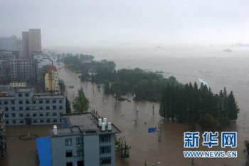 Россия доставила КНДР муку в виде гуманитарной помощи