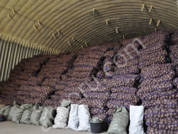 Картофель оптом